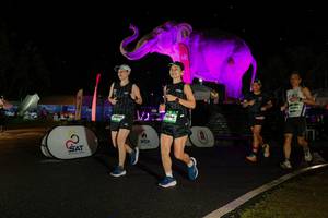 BIB: 
                            <button type="button" onclick="openModal(26542814)" class="btn btn-primary btn-sm float-right btn-popup" data-toggle="modal" data-target=".modal-high-quality">
                        <i class="fas fa-shopping-cart"></i> Add to Cart
                    </button>
                                            <button type="button" onclick="isThisMe(26542814, true)" class="btn btn-success btn-sm float-right btn-popup btn-isme hidden" data-toggle="tooltip" data-placement="bottom" title="นี่คือรูปของคุณใช่ไหม คลิกที่นี่เพื่อเอาเข้าอัลบั้ม">
                        <i class="fas fa-plus"></i> Add to album
                    </button>
                    <button type="button" onclick="isThisMe(26542814, false)" class="btn btn-warning btn-sm float-right btn-popup btn-isnotme hidden">
                        <i class="fas fa-ban"></i> Remove from album
                    </button>